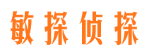 潼关市调查公司